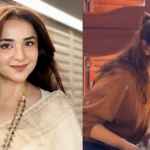 Yumna Zaidi Shares Refreshing Ice-Water Face Dip on Instagram
