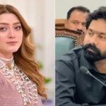 Saqib Chadhar and Wife Receive Bail Extension in Momina Iqbal Cyber Harassment Case
